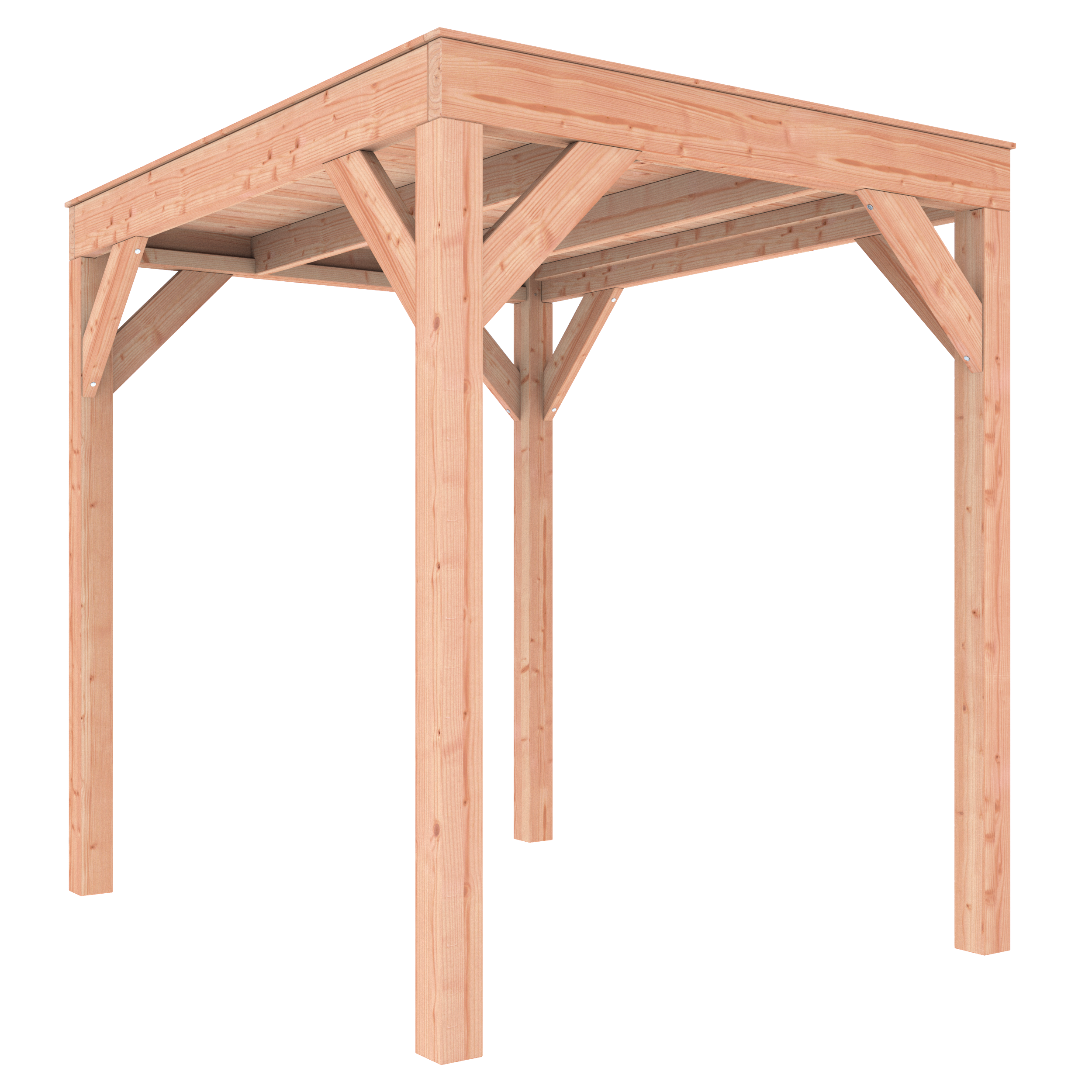 Douglas overkapping 200 x 250 cm - Afbeelding 3