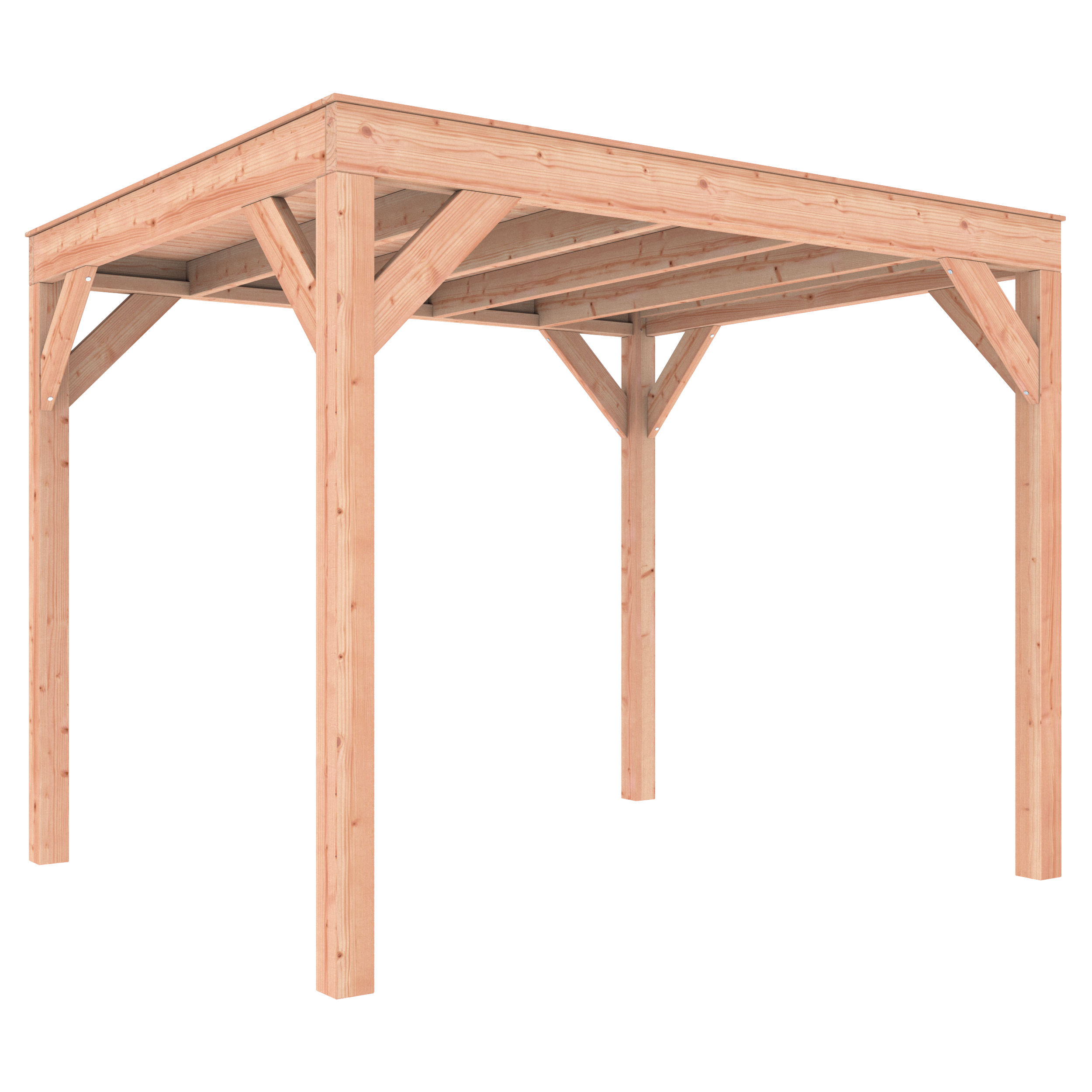 Douglas overkapping 300 x 250 cm - Afbeelding 3