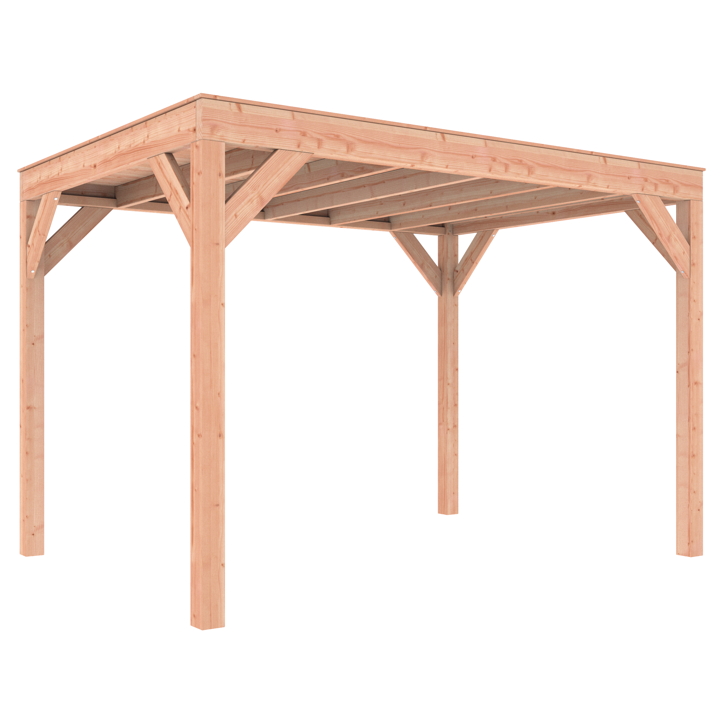 Douglas overkapping 350 x 250 cm - Afbeelding 3
