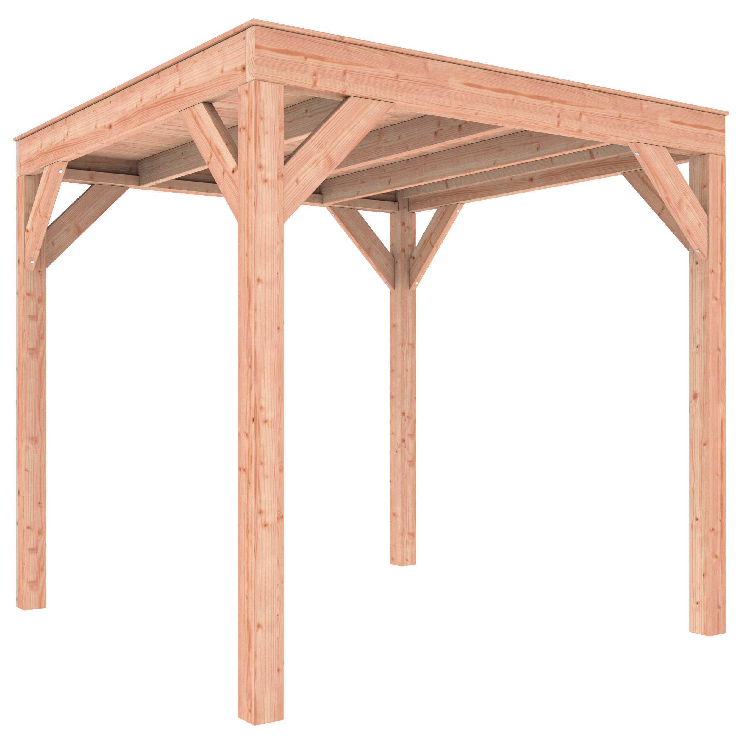 Douglas overkapping 250 x 250 cm - Afbeelding 3