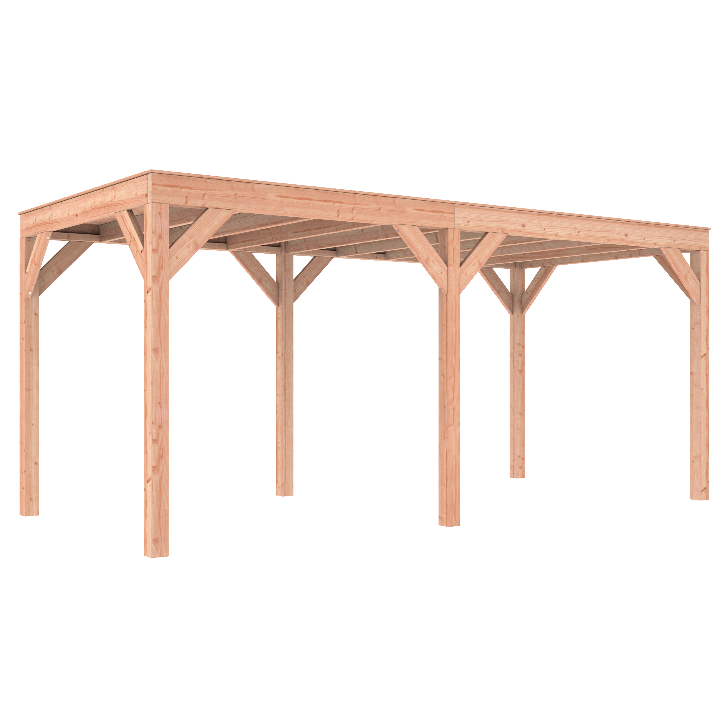 Douglas A-Sym/2 overkapping 550 x 250 cm - Afbeelding 3